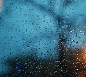 Погрелись и хватит: дождливо и прохладно будет в Сахалинской области 2 мая