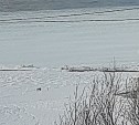 "Могли провалиться": дети в Холмске решили испытать на прочность лёд в порту