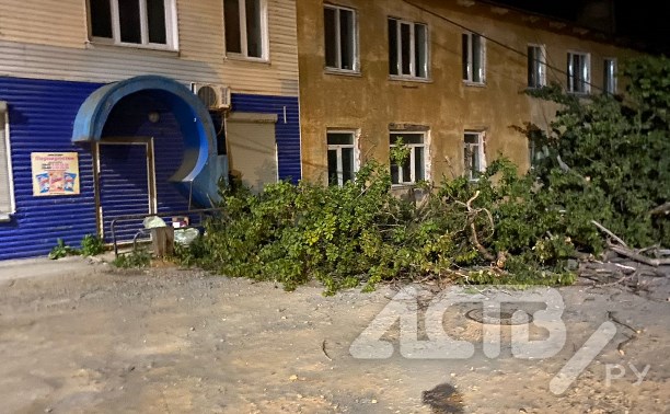 Дерево упало и заблокировало дорогу в Холмске