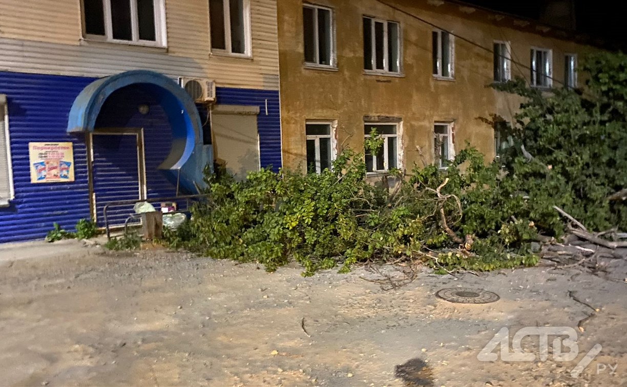 Дерево упало и заблокировало дорогу в Холмске