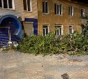 Дерево упало и заблокировало дорогу в Холмске