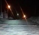Сахалинцы на авто гнали медведя по ночному Корсакову