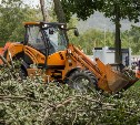 Во время тайфуна в Южно-Сахалинске пострадали 200 деревьев