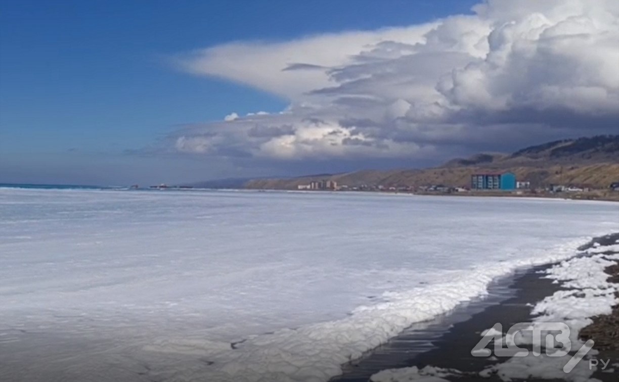 Пенное с селёдкой: море на Сахалине из-за нереста превратилось в облако