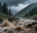Реки выйдут из берегов: на юге Сахалина прогнозируют сильные дожди