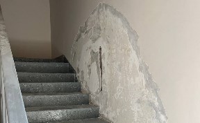Общество