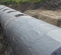 При капремонте моста через реку Ханкотан в Холмском районе оценят состояние экологии 