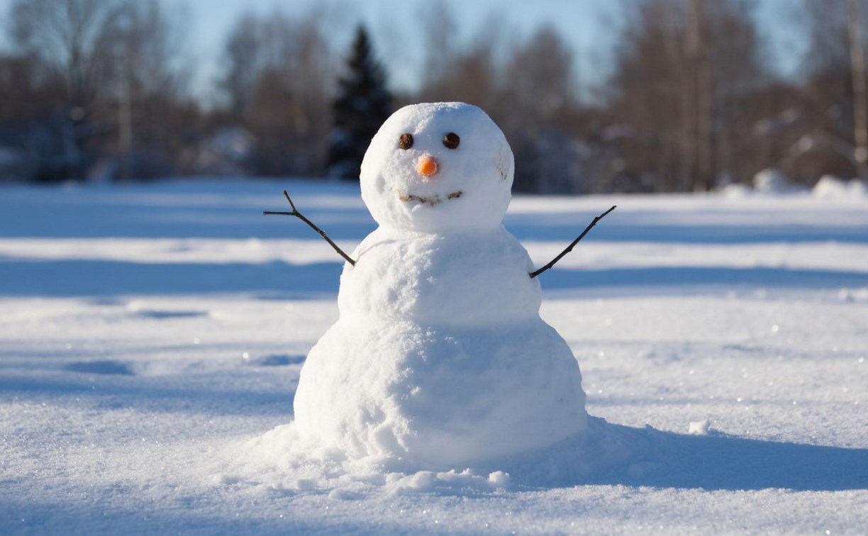 Снег и гололедица: прогноз погоды для Сахалина и Курил на 24 декабря