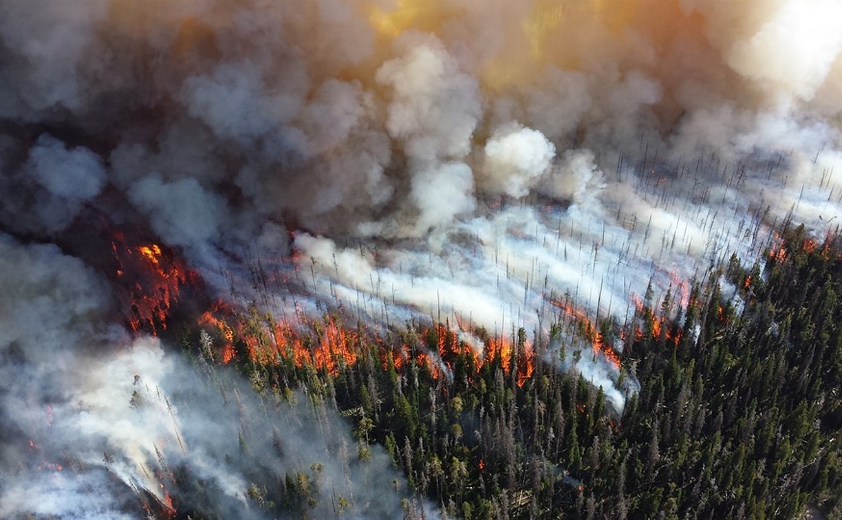 В пяти районах Сахалина может загореться лес