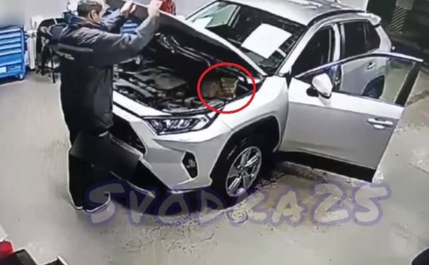 Так теплее: бездомный котик уснул под капотом автомобиля во Владивостоке