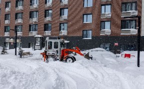 Общество