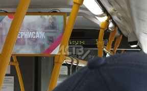 Происшествия