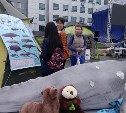 Как помочь тюленям и китам, объяснили сахалинцам волонтеры