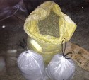 Более 20 кг марихуаны обнаружили сотрудники ФСБ в Аниве