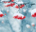 В большинстве районов снег: какой будет погода на Сахалине и Курилах 8 февраля