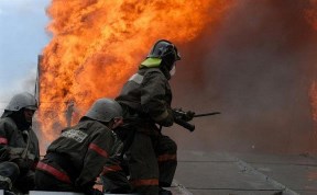 Происшествия