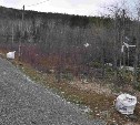 Природоохранная прокуратура озвучила результаты проверки мусорных полей в районе "Известкового"