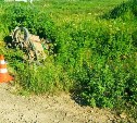 На Сахалине пьяный пенсионер на "Урале" попал в ДТП