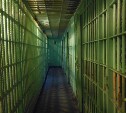 Беременную сахалинку приговорили к 5 годам колонии за наркотики