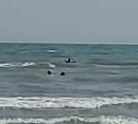 Мужчина в Аниве по горло зашел в море и боролся с волнами ради хорошего улова