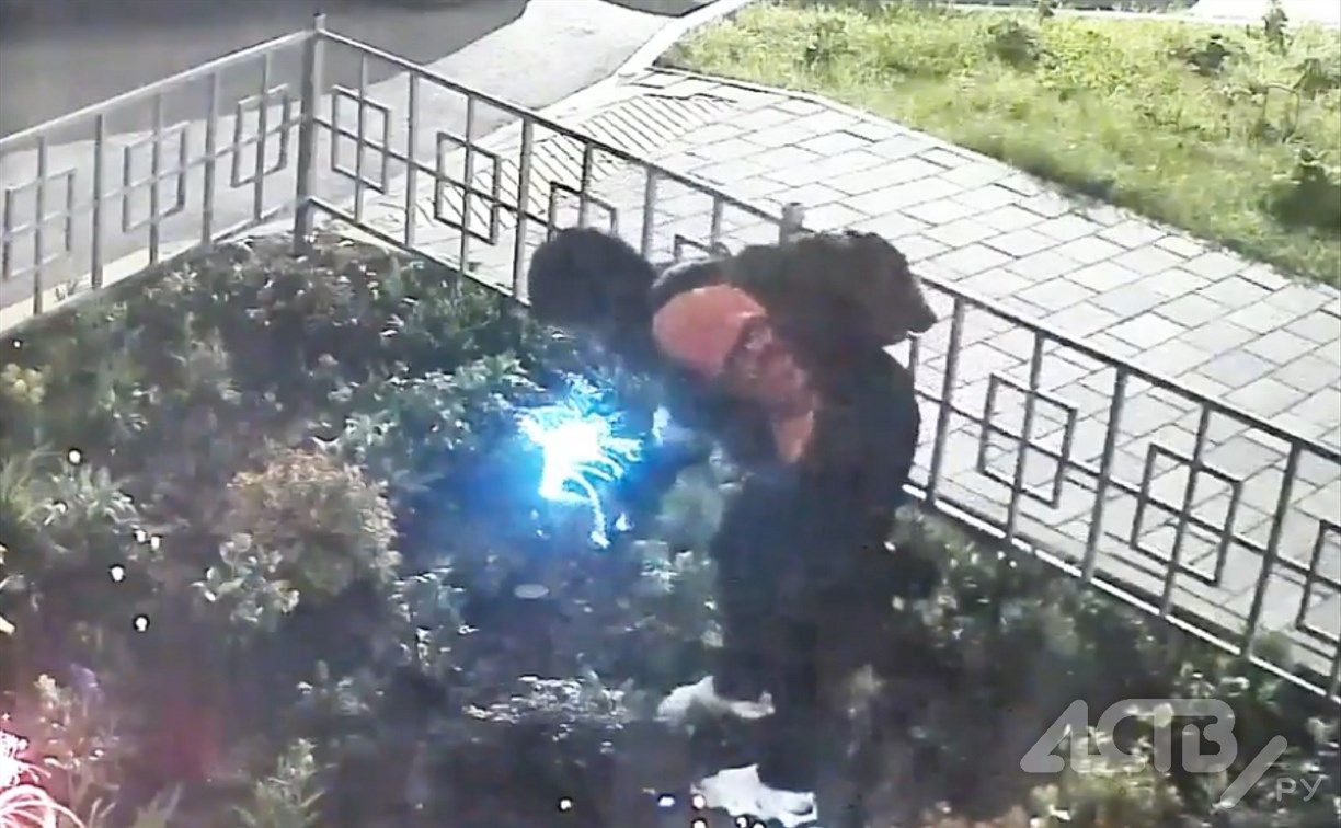 Горький опыт не стал уроком: в Холмске снова украли светящийся цветок с клумбы