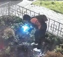 Горький опыт не стал уроком: в Холмске снова украли светящийся цветок с клумбы