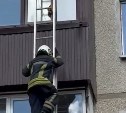 Спасатели в Южно-Сахалинске вытащили кошку из оконной удавки 
