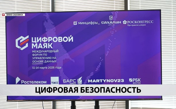 Организации Дальнего Востока за год выдержали более 6 тысяч кибератак