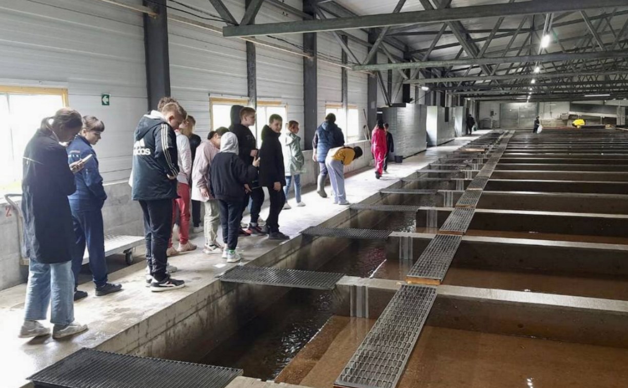 От малька до ребёнка: как экопроекты ВГК меняют отношение сахалинцев к природе