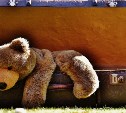 Мэр Курильска хочет привезти на Итуруп медведей