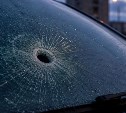 Парковочный спор в столице Камчатки перешёл в стрельбу: возбудили уголовное дело