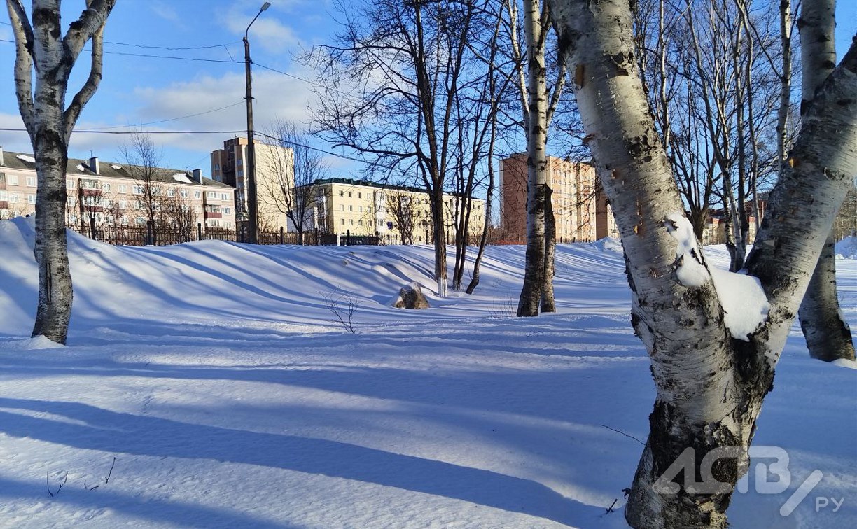Северный ветер с порывами до 13 м/с: чего ждать от погоды в Южно-Сахалинске 12 марта