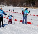 В лыжных гонках в Троицком приняли участие семьи из пяти детсадов области
