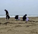 В Томаринском районе продолжают очищать побережье от мазута