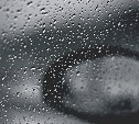 В пяти районах Сахалина ожидаются сильные осадки и ветер до 27 м/с