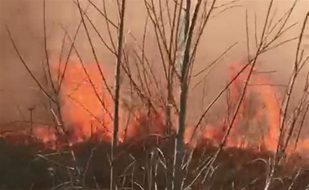 Гектар сухой травы горит в Томаринском районе