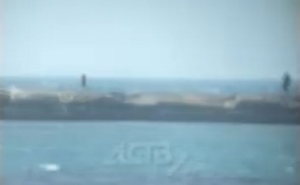 Очевидцы: подвыпивший сахалинец залез на брекватер и распугал сивучей в Невельске