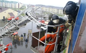Общество
