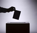 До конца регистрации на выборах в сахалинскую думу дошли 10 партий