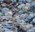 "Не выносите отходы": из-за метели вывоз мусора в пяти районах Сахалинской области прекратили 