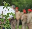 "Аллея Победы" появилась в парке Корсакова