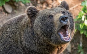 Происшествия