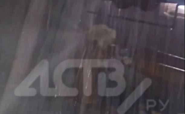 "Трубу разорвало до вентилей": в Южно-Сахалинске уже неделю заливает подвал дома