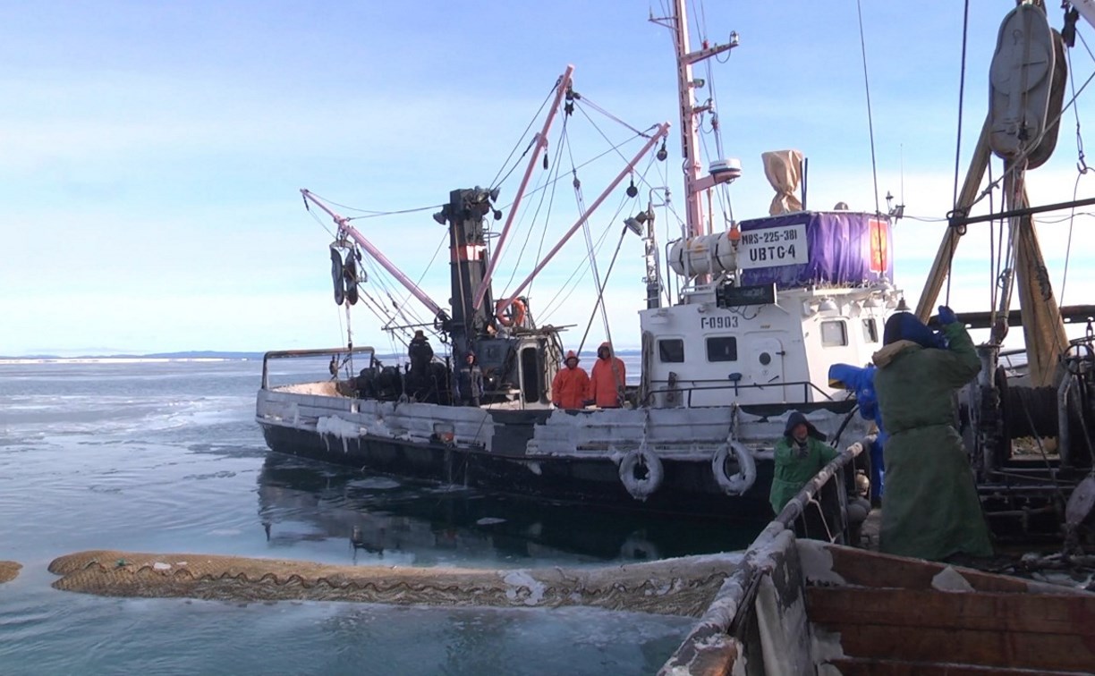 Больше 155 тысяч тонн водных биоресурсов добыли островные рыбаки с начала года