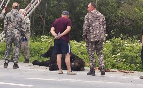 Происшествия