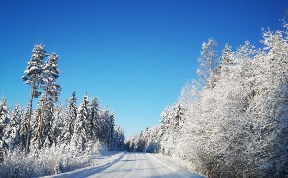 Общество