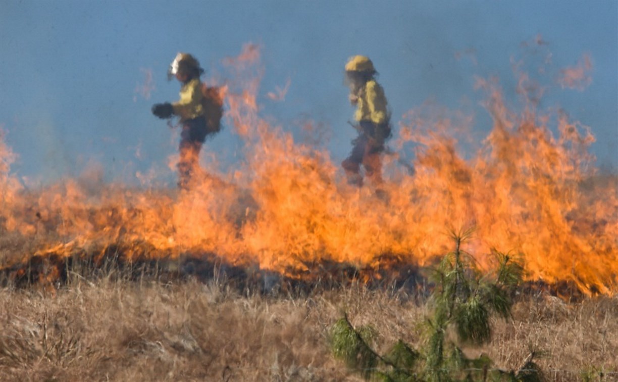 Сахалинские пожарные четыре часа боролись с травяным палом 