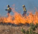 Сахалинские пожарные четыре часа боролись с травяным палом 