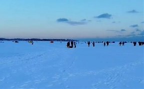 Общество