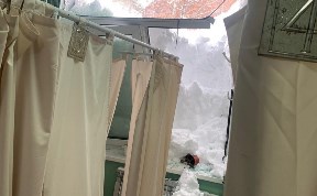 Общество